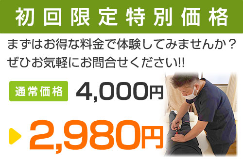 初回限定特別価格2,980円